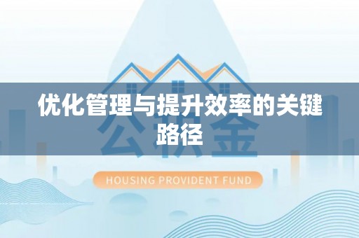泰兴优化管理与提升效率的关键路径