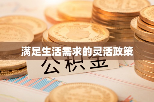 泰兴满足生活需求的灵活政策