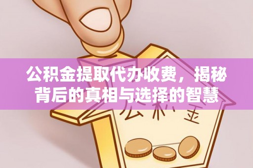泰兴公积金提取代办收费，揭秘背后的真相与选择的智慧