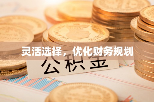 泰兴灵活选择，优化财务规划