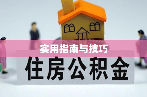 泰兴实用指南与技巧