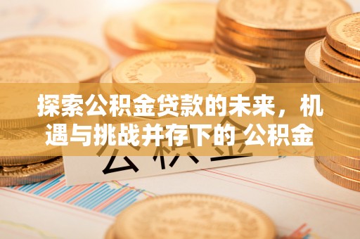 泰兴探索公积金贷款的未来，机遇与挑战并存下的 公积金贷款风险防控