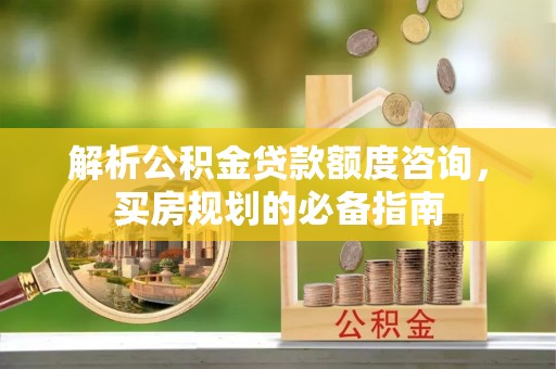泰兴解析公积金贷款额度咨询，买房规划的必备指南