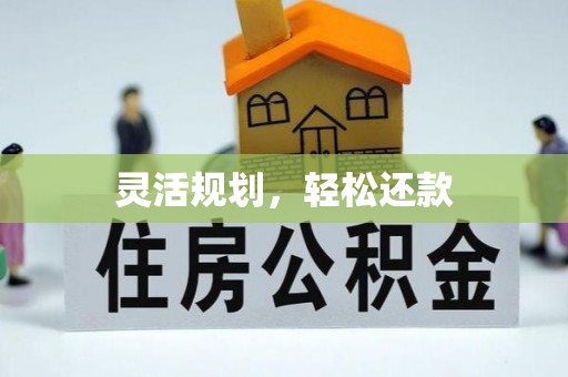 泰兴灵活规划，轻松还款
