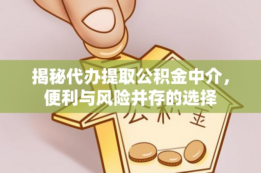 泰兴揭秘代办提取公积金中介，便利与风险并存的选择