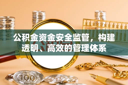 泰兴公积金资金安全监管，构建透明、高效的管理体系