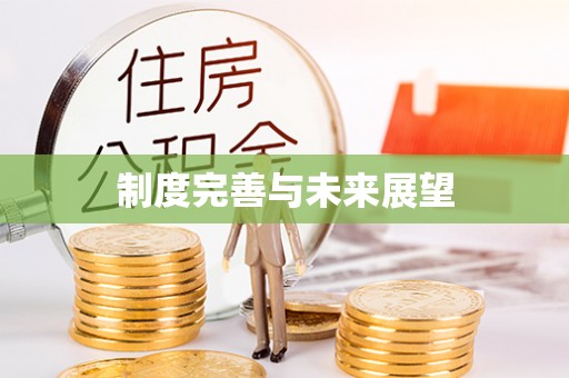 泰兴制度完善与未来展望