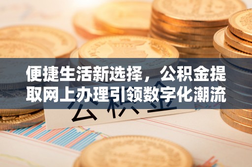 泰兴便捷生活新选择，公积金提取网上办理引领数字化潮流