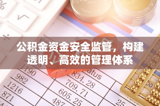 泰兴公积金资金安全监管，构建透明、高效的管理体系