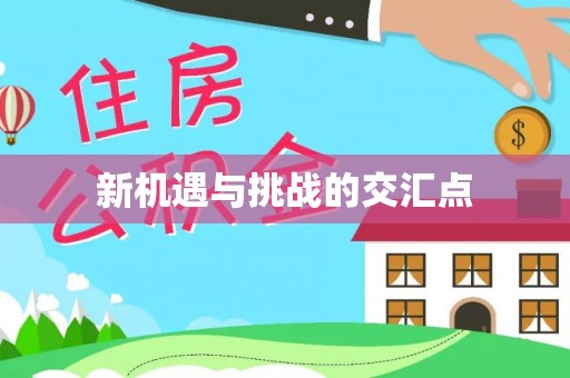 泰兴新机遇与挑战的交汇点