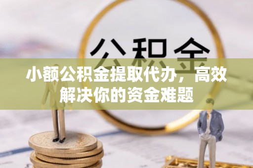 泰兴小额公积金提取代办，高效解决你的资金难题
