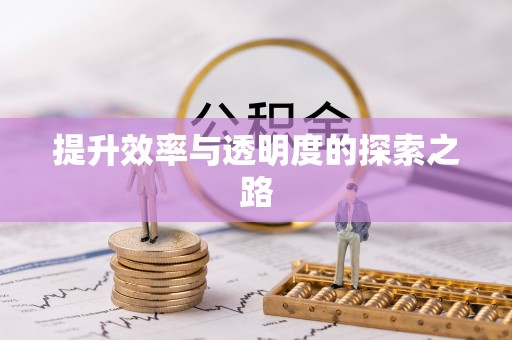 泰兴提升效率与透明度的探索之路