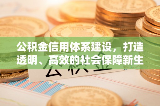 泰兴公积金信用体系建设，打造透明、高效的社会保障新生态
