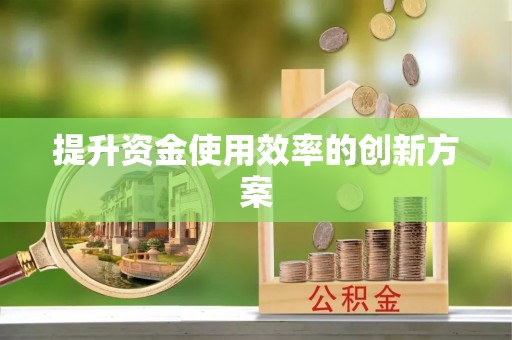 泰兴提升资金使用效率的创新方案