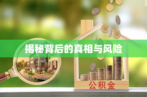 泰兴揭秘背后的真相与风险