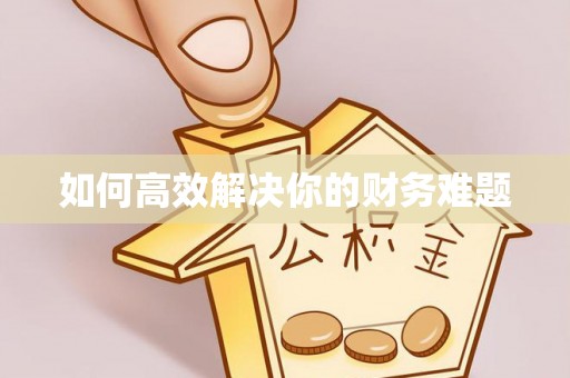 泰兴如何高效解决你的财务难题