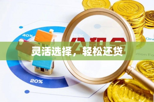 泰兴灵活选择，轻松还贷