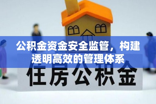泰兴公积金资金安全监管，构建透明高效的管理体系