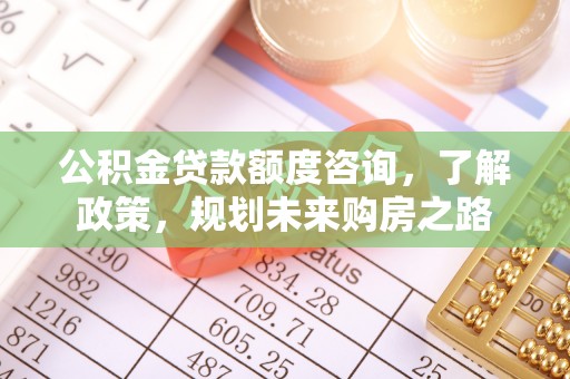 泰兴公积金贷款额度咨询，了解政策，规划未来购房之路