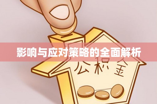 泰兴影响与应对策略的全面解析