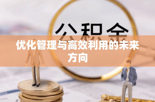 泰兴优化管理与高效利用的未来方向