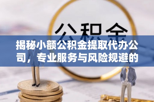 泰兴揭秘小额公积金提取代办公司，专业服务与风险规避的平衡艺术
