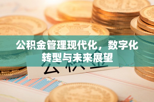 泰兴公积金管理现代化，数字化转型与未来展望