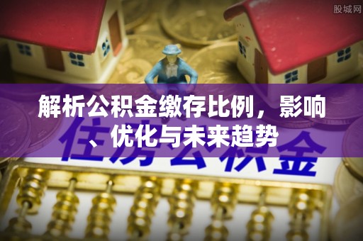 泰兴解析公积金缴存比例，影响、优化与未来趋势