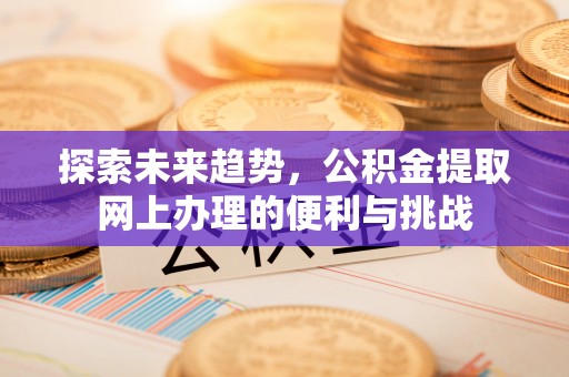 泰兴探索未来趋势，公积金提取网上办理的便利与挑战