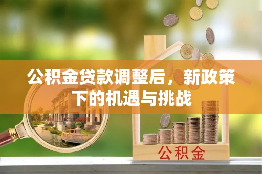 泰兴公积金贷款调整后，新政策下的机遇与挑战