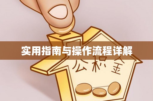 泰兴实用指南与操作流程详解