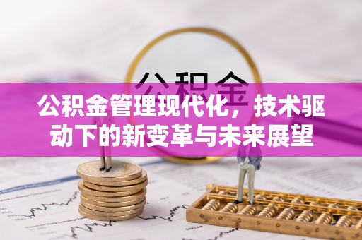 泰兴公积金管理现代化，技术驱动下的新变革与未来展望