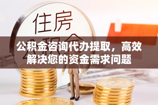 泰兴公积金咨询代办提取，高效解决您的资金需求问题