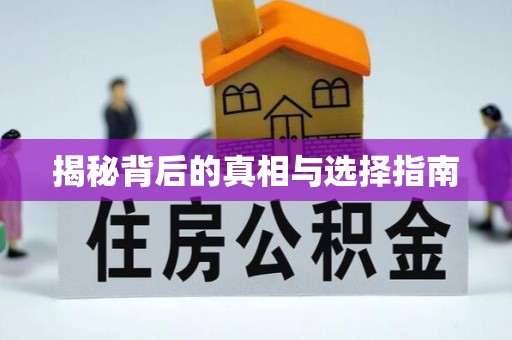泰兴揭秘背后的真相与选择指南