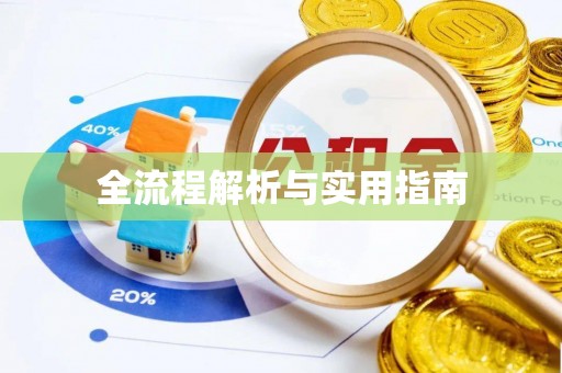 泰兴全流程解析与实用指南