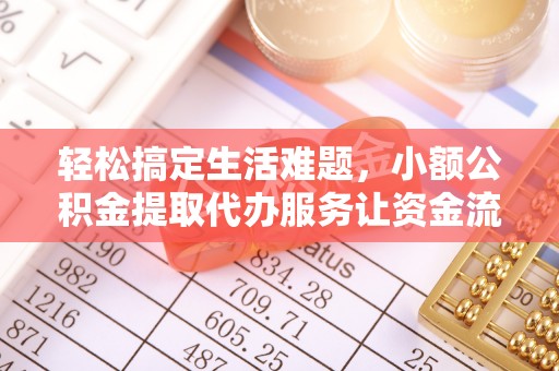 泰兴轻松搞定生活难题，小额公积金提取代办服务让资金流动更便捷