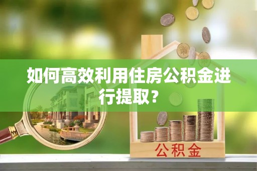 泰兴如何高效利用住房公积金进行提取？