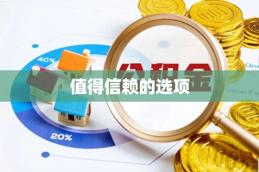 泰兴值得信赖的选项