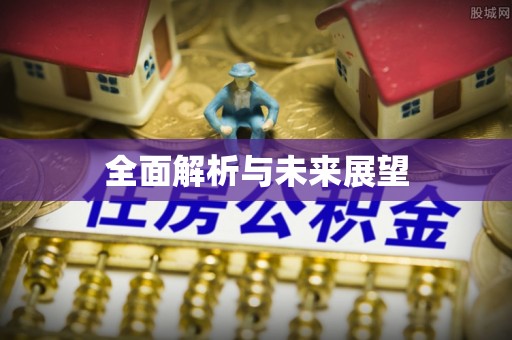 泰兴全面解析与未来展望