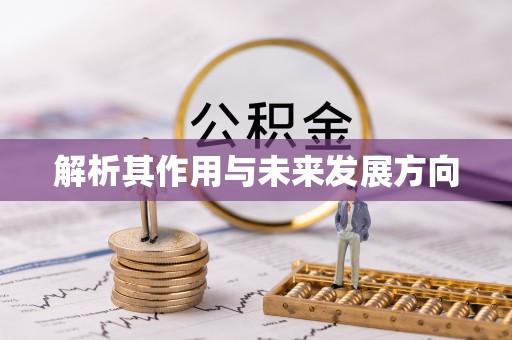 泰兴解析其作用与未来发展方向