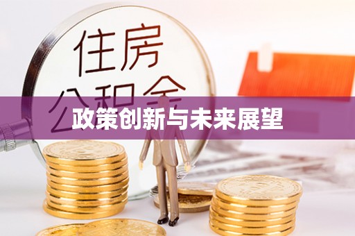 泰兴政策创新与未来展望
