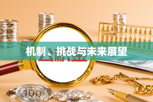 泰兴机制、挑战与未来展望