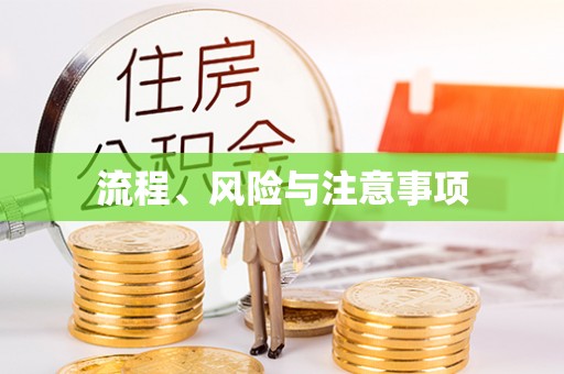 泰兴流程、风险与注意事项