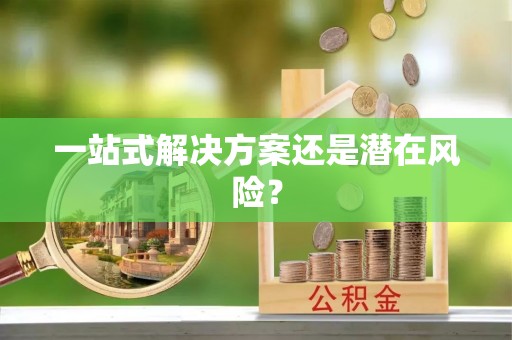 泰兴一站式解决方案还是潜在风险？