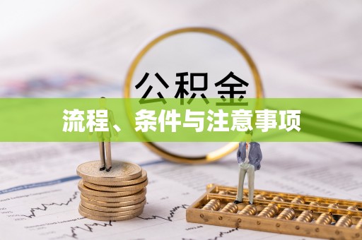 泰兴流程、条件与注意事项