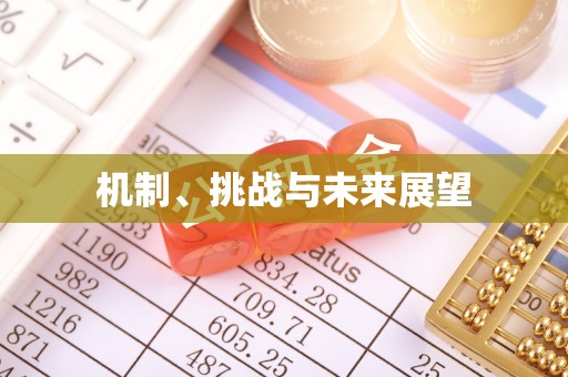 泰兴机制、挑战与未来展望